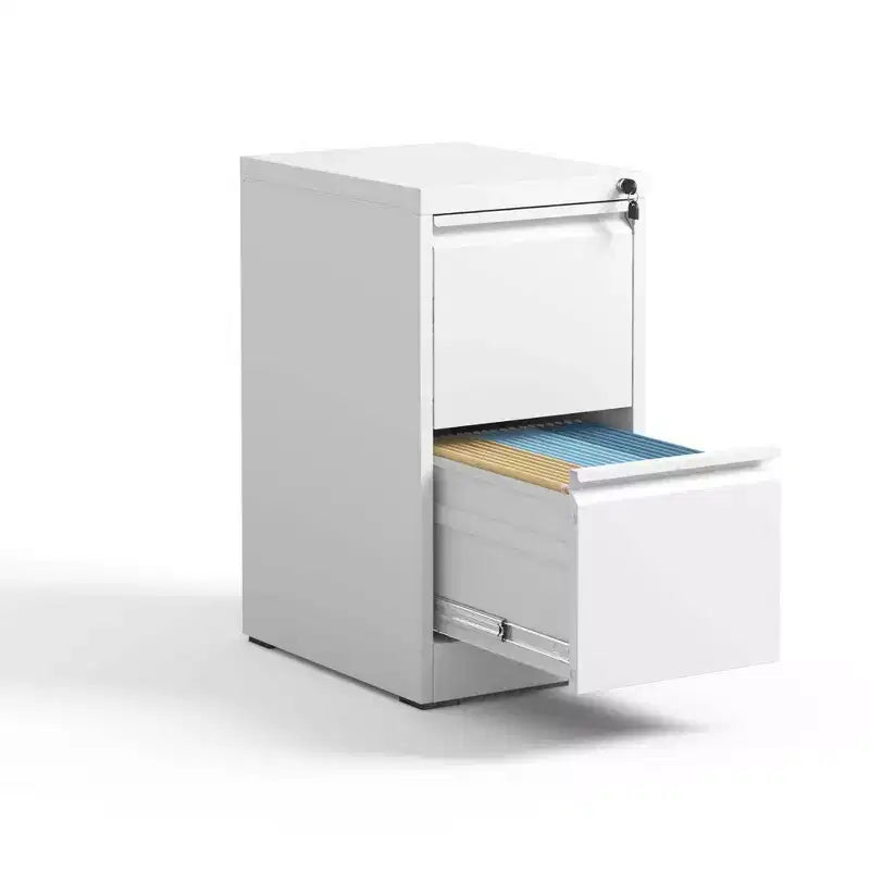 28H 2-Drawer White Metal Vertical File Cabinet with Lock, Steel Filing Cabinet for Home Office, Fits A4/Legal/Letter Size